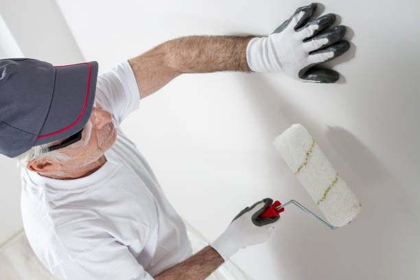 Mold Removal for HVAC Installations in Pender, NE